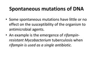 Spontaneous mutations of DNA
• Some spontaneous mutations have little or no
effect on the susceptibility of the organism to
antimicrobial agents.
• An example is the emergence of rifampin-
resistant Mycobacterium tuberculosis when
rifampin is used as a single antibiotic.
 