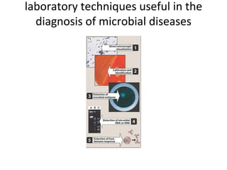 laboratory techniques useful in the
diagnosis of microbial diseases
 