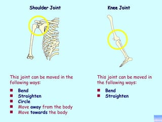 This joint can be moved in the following ways: Bend Straighten Circle Move  away  from the body Move  towards  the body This joint can be moved in the following ways: Bend Straighten Shoulder Joint Knee Joint 