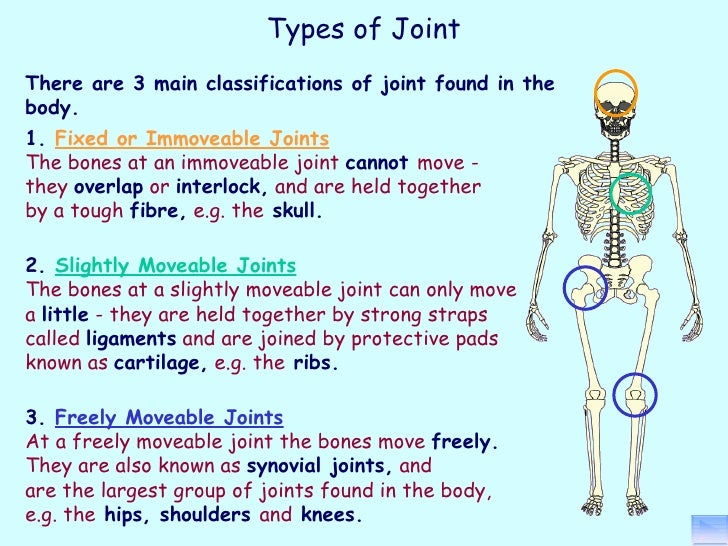 Principles of a+p 1112 session 5 joints (structure)