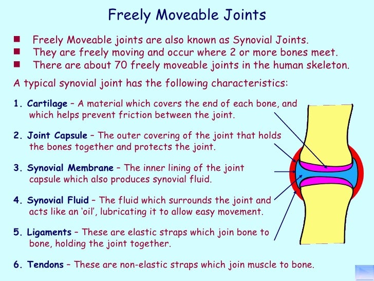 Principles of a+p 1112 session 5 - joints (structure)