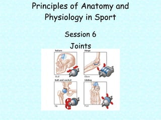 Principles of Anatomy and Physiology in Sport ,[object Object],[object Object]