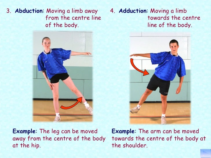Principles of a+p 1112 session 6 joints (function)