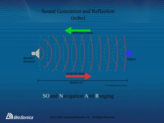 Fisheries Acoustics 101 - Principles | PPTX