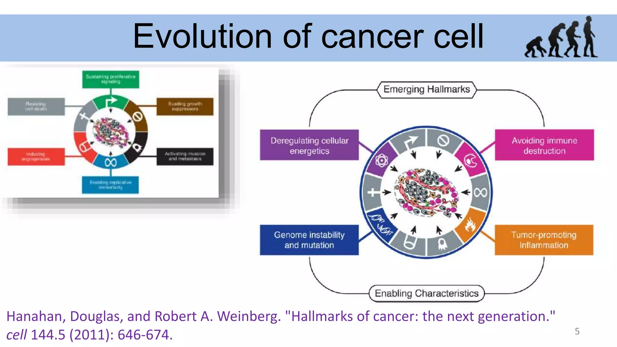 Principles of cancer immunotherapy | PPTX