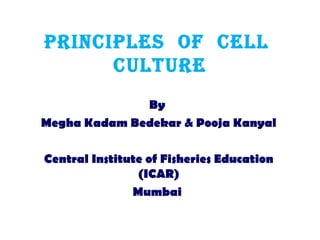 PrinciPles of cell
culture
By
Megha Kadam Bedekar & Pooja Kanyal
Central Institute of Fisheries Education
(ICAR)
Mumbai
 
