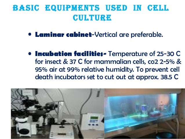 Principles Of Cell Culture