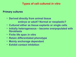 Primary cultures
• Derived directly from animal tissue
embryo or adult? Normal or neoplastic?
• Cultured either as tissue explants or single cells
• Initially heterogeneous – become overpopulated with
fibroblasts
• Finite life span in vitro
• Retain differentiated phenotype
• Mainly anchorage dependant
• Exhibit contact inhibition
Types of cell cultured in vitro
 