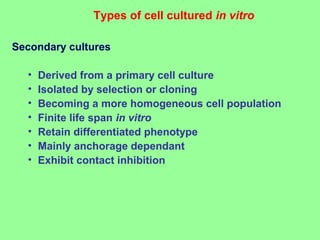 Types of cell cultured in vitro
Secondary cultures
• Derived from a primary cell culture
• Isolated by selection or cloning
• Becoming a more homogeneous cell population
• Finite life span in vitro
• Retain differentiated phenotype
• Mainly anchorage dependant
• Exhibit contact inhibition
 