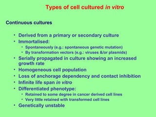 Types of cell cultured in vitro
Continuous cultures
• Derived from a primary or secondary culture
• Immortalised:
• Spontaneously (e.g.: spontaneous genetic mutation)
• By transformation vectors (e.g.: viruses &/or plasmids)
• Serially propagated in culture showing an increased
growth rate
• Homogeneous cell population
• Loss of anchorage dependency and contact inhibition
• Infinite life span in vitro
• Differentiated phenotype:
• Retained to some degree in cancer derived cell lines
• Very little retained with transformed cell lines
• Genetically unstable
 