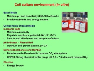 Cell culture environment (in vitro)
Basal Media
• Maintain pH and osmolarity (260-320 mOsm/L).
• Provide nutrients and energy source.
Components of Basal Media
Inorganic Salts
• Maintain osmolarity
• Regulate membrane potential (Na+
, K+
, Ca2+
)
• Ions for cell attachment and enzyme cofactors
pH Indicator – Phenol Red
• Optimum cell growth approx. pH 7.4
Buffers (Bicarbonate and HEPES)
• Bicarbonate buffered media requires CO2 atmosphere
• HEPES Strong chemical buffer range pH 7.2 – 7.6 (does not require CO2)
Glucose
• Energy Source
 