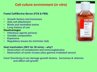 Foetal Calf/Bovine Serum (FCS & FBS)
• Growth factors and hormones
• Aids cell attachment
• Binds and neutralise toxins
• Long history of use
Disadvantages
• Infectious agents (prions)
• Variable composition
• Expensive
• Regulatory issues (to minimise risk)
Heat Inactivation (56o
C for 30 mins) – why?
• Destruction of complement and immunoglobulins
• Destruction of some viruses (also gamma irradiated serum)
Care! Overdoing it can damage growth factors, hormones & vitamins
and affect cell growth
Cell culture environment (in vitro)
 