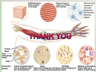 Introduction to cell culture techniques