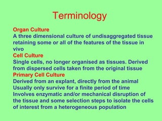 Terminology
Organ Culture
A three dimensional culture of undisaggregated tissue
retaining some or all of the features of the tissue in
vivo
Cell Culture
Single cells, no longer organised as tissues. Derived
from dispersed cells taken from the original tissue
Primary Cell Culture
Derived from an explant, directly from the animal
Usually only survive for a finite period of time
Involves enzymatic and/or mechanical disruption of
the tissue and some selection steps to isolate the cells
of interest from a heterogeneous population
 