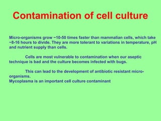 Contamination of cell culture
Micro-organisms grow ~10-50 times faster than mammalian cells, which take
~8-16 hours to divide. They are more tolerant to variations in temperature, pH
and nutrient supply than cells.
Cells are most vulnerable to contamination when our aseptic
technique is bad and the culture becomes infected with bugs.
This can lead to the development of antibiotic resistant micro-
organisms.
Mycoplasma is an important cell culture contaminant
 