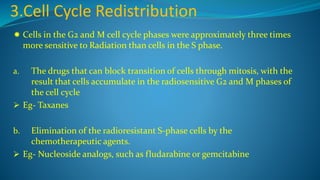 3.Cell Cycle Redistribution
 Cells in the G2 and M cell cycle phases were approximately three times
more sensitive to Radiation than cells in the S phase.
a. The drugs that can block transition of cells through mitosis, with the
result that cells accumulate in the radiosensitive G2 and M phases of
the cell cycle
 Eg- Taxanes
b. Elimination of the radioresistant S-phase cells by the
chemotherapeutic agents.
 Eg- Nucleoside analogs, such as fludarabine or gemcitabine
 