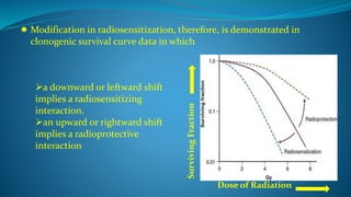  Modification in radiosensitization, therefore, is demonstrated in
clonogenic survival curve data in which
Dose of Radiation
SurvivingFraction
a downward or leftward shift
implies a radiosensitizing
interaction.
an upward or rightward shift
implies a radioprotective
interaction
 