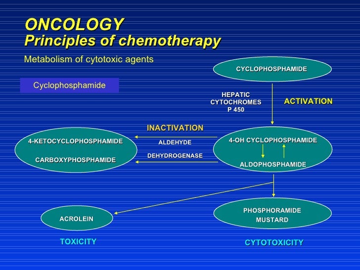 Principles Of Chemotherapy