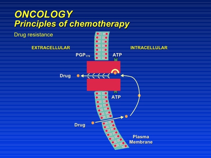 cyclophosphamide mechanism of action