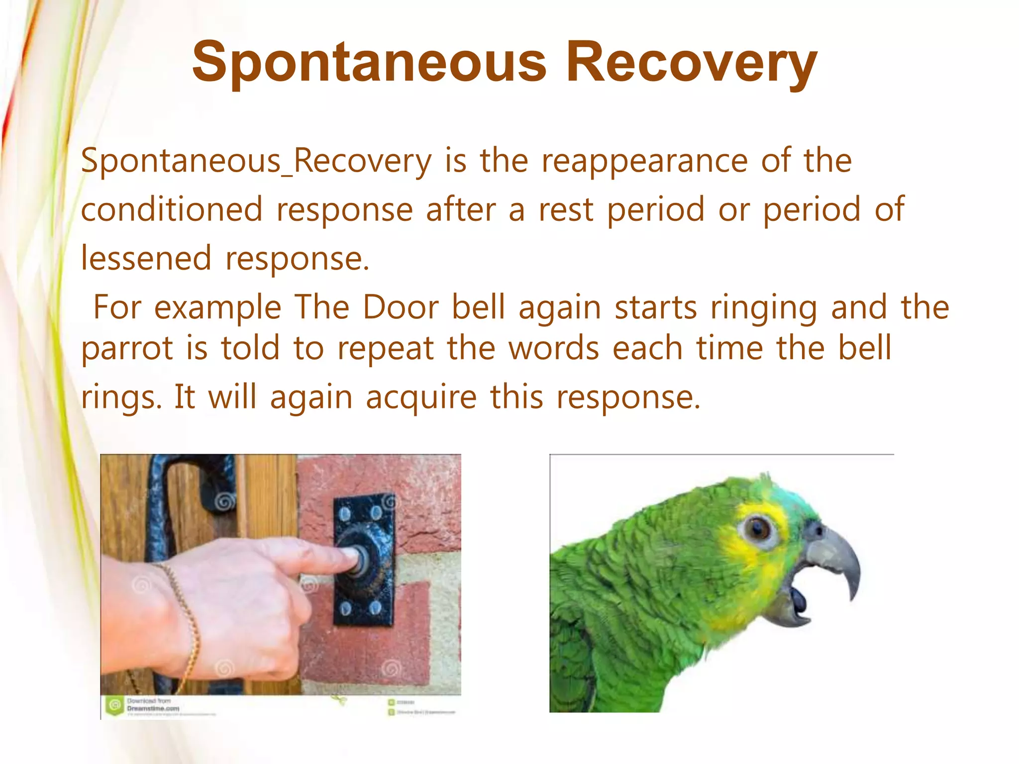 Spontaneous Recovery
Spontaneous Recovery is the reappearance of the
conditioned response after a rest period or period of
lessened response.
For example The Door bell again starts ringing and the
parrot is told to repeat the words each time the bell
rings. It will again acquire this response.
 