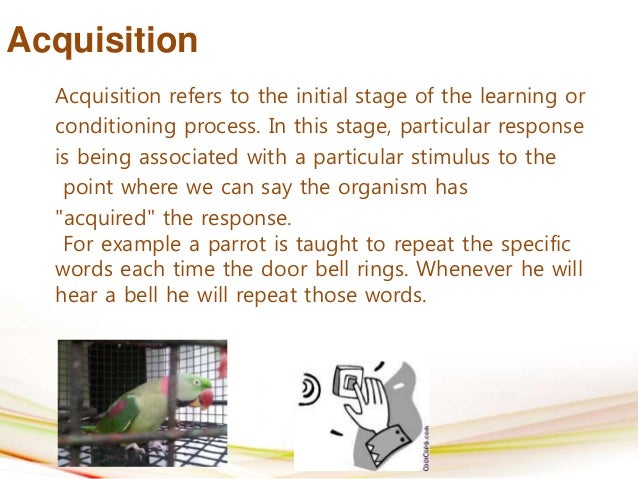 Classical Conditioning Principles