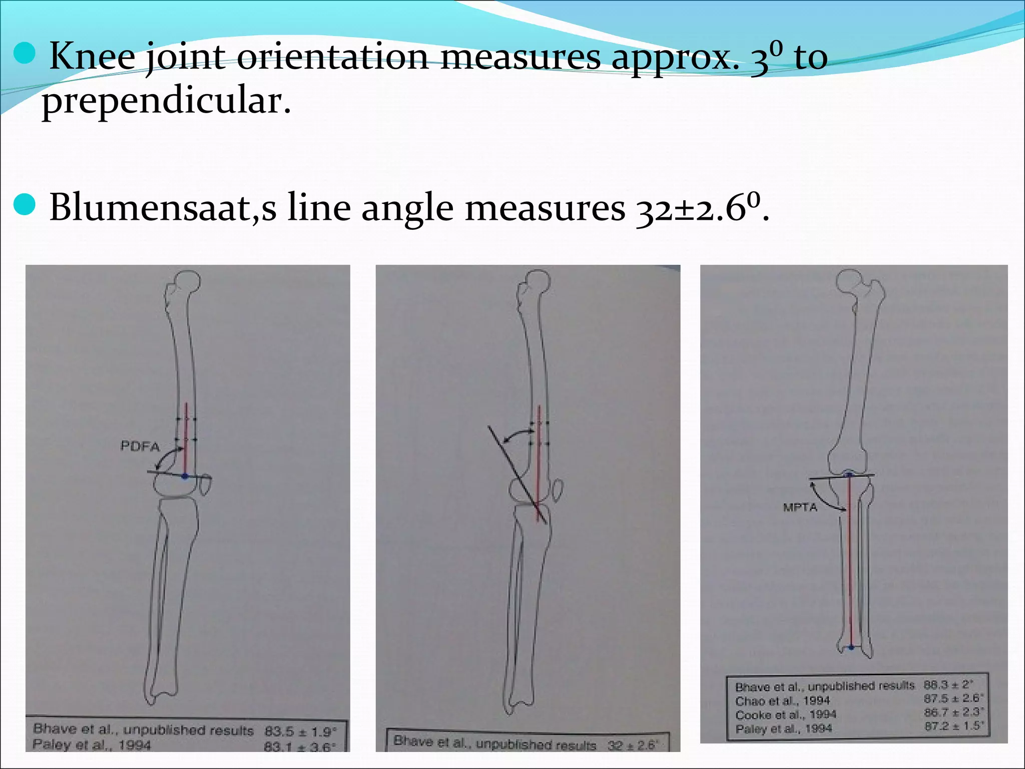 Knee joint orientation measures approx. 3⁰ to
prependicular.
Blumensaat,s line angle measures 32±2.6⁰.
 