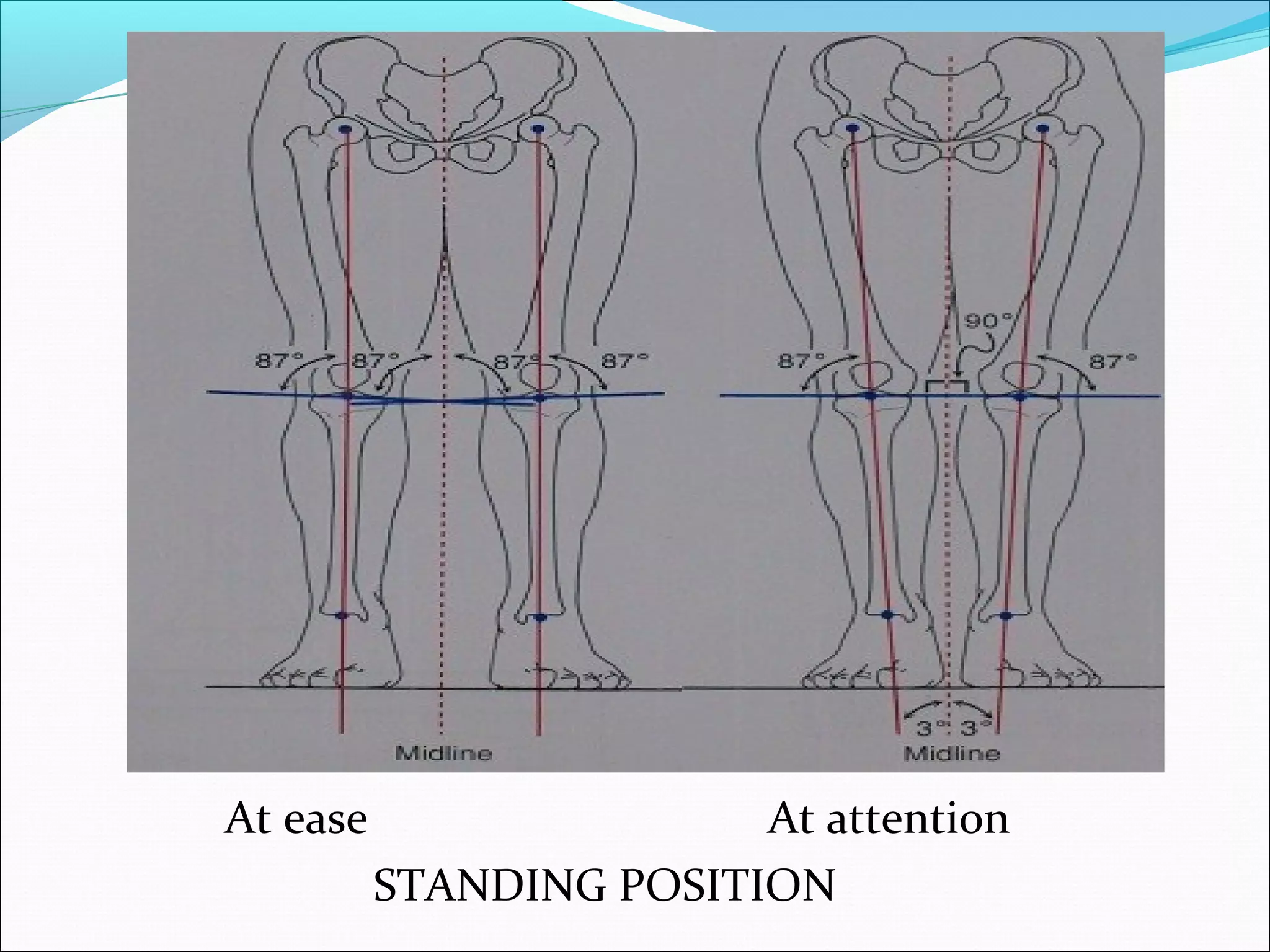 At ease At attention
STANDING POSITION
 