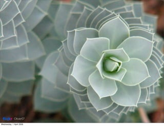 Principles Of Design