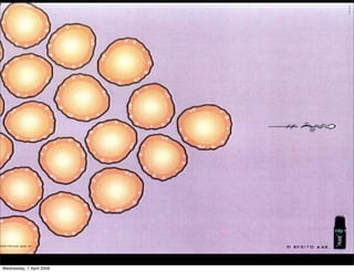 Principles Of Design