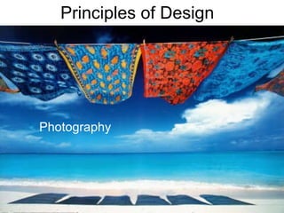 Principles of Design Photography  