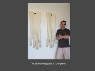 The slumbering giant’s “Marigolds”. 