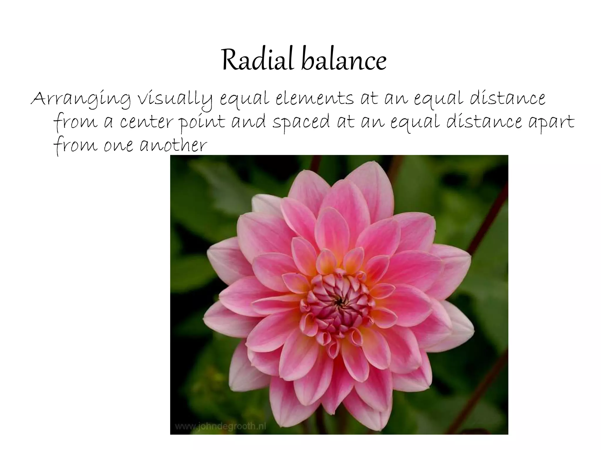 Radial balance
Arranging visually equal elements at an equal distance
from a center point and spaced at an equal distance apart
from one another
 