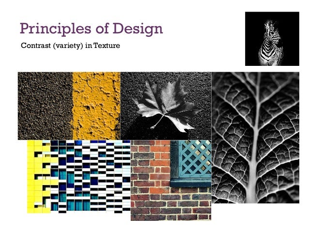 Contrast In Principles Of Design : Principles of design