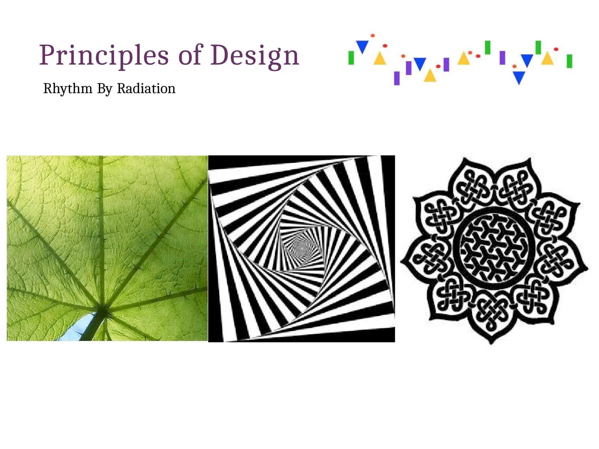 Principles of Design
Rhythm By Radiation
 