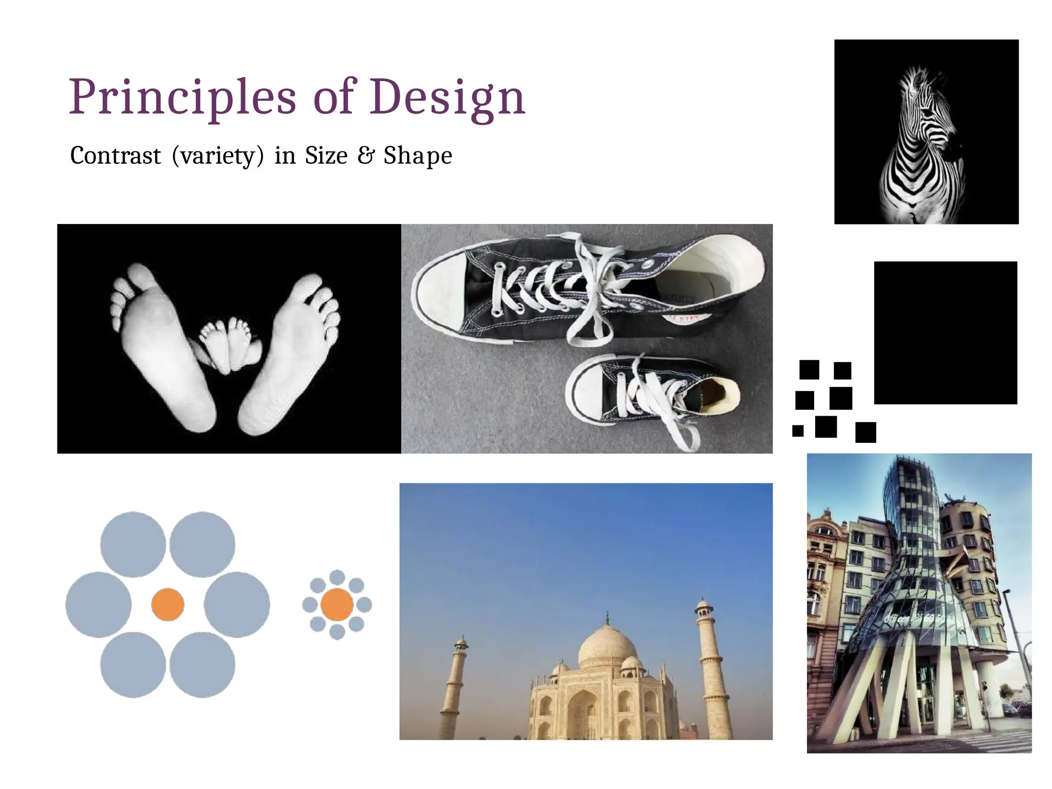 Principles of Design
Contrast (variety) in Size & Shape
 