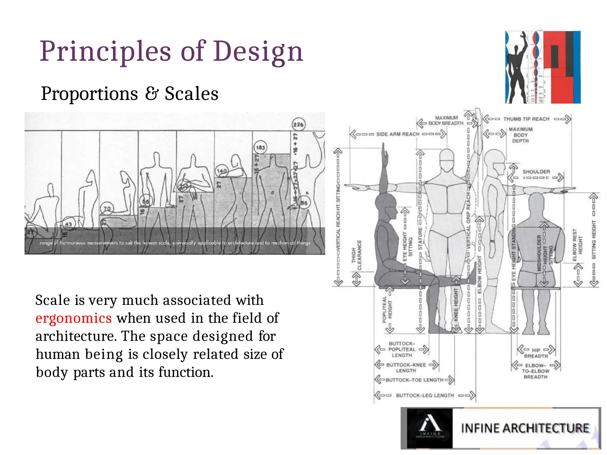 Principles of Design
Proportions & Scales
Scale is very much associated with
ergonomics when used in the field of
architecture. The space designed for
human being is closely related size of
body parts and its function.
 