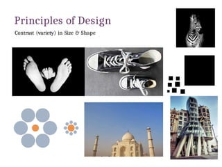 Size Contrast In Design Examples principlesofdesign-151215182040 (1)_compressed | PPTX