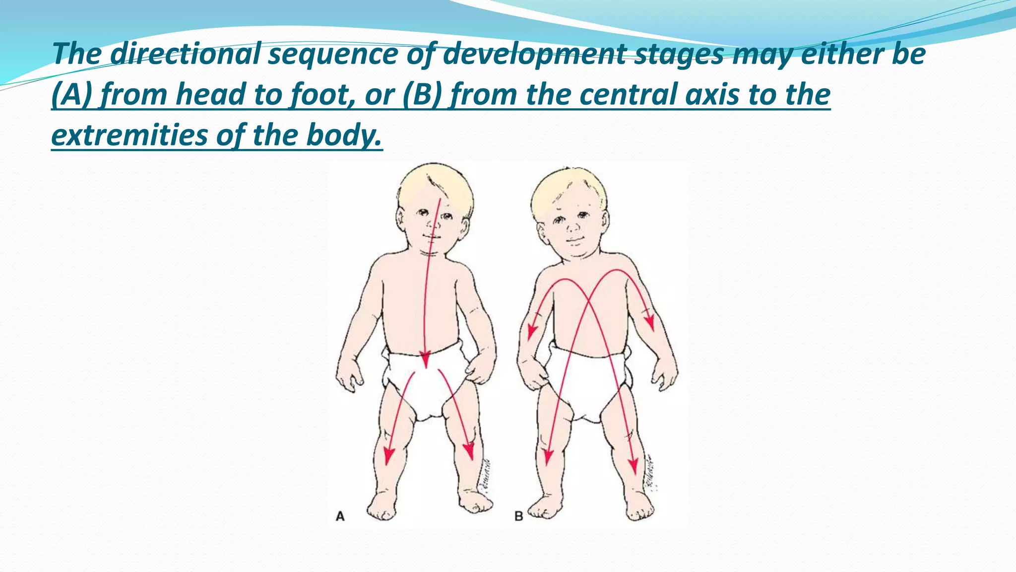 Principles of development | PPTX