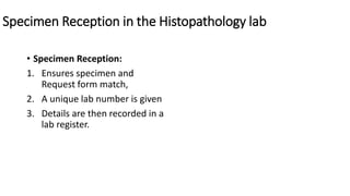 Specimen Reception Show Examples Comprehensive Principles of Differential Diagnosis and Biopsy in Oral ...