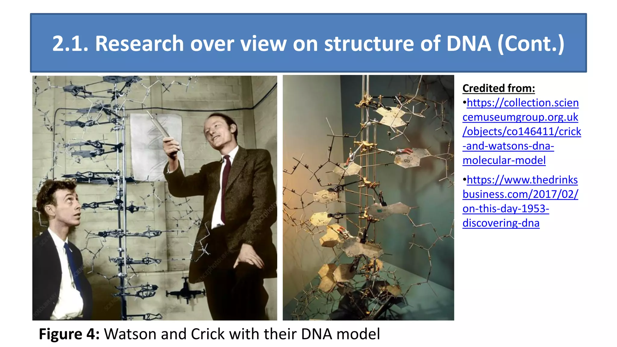 Principles of DNA Structure, Replication and how it affects Plant ...