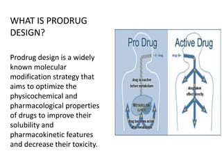 Principles of drug discovery.pptx