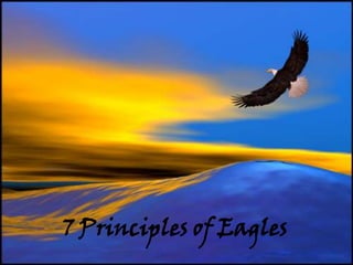 7 Principles of Eagles
 