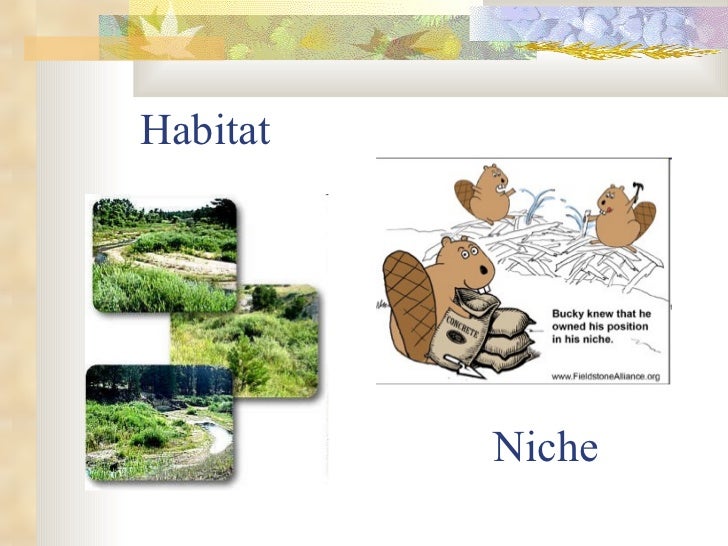 Principles of Ecology