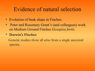 principlesofecology-141216082016-conversion-gate02.ppt