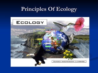 Principles Of Ecology 