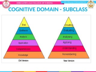 COGNITIVE DOMAIN - SUBCLASS
 