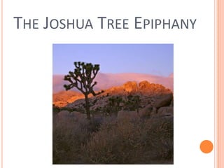 The Joshua Tree Epiphany