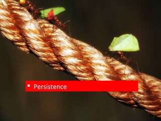  Persistence
 