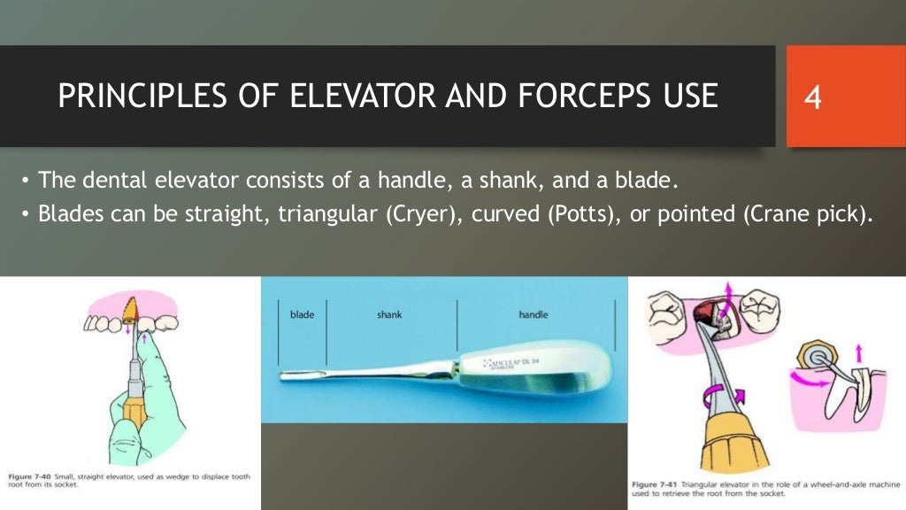 Principles of elevator and forceps use (Dentistry)