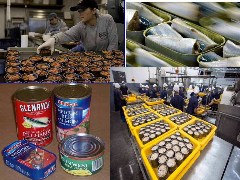 Principles of fish preservation and processing